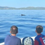 Zadar: Island Hopping by Speedboat with Wine & Fruit - The Authentic Experience and Value