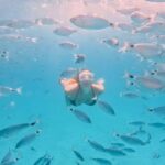 Zadar: Island Luxury Speedboat Tour with Snorkeling - The Value of the Tour