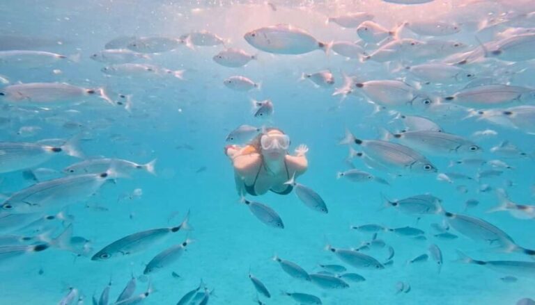 Zadar: Island Luxury Speedboat Tour with Snorkeling - The Value of the Tour