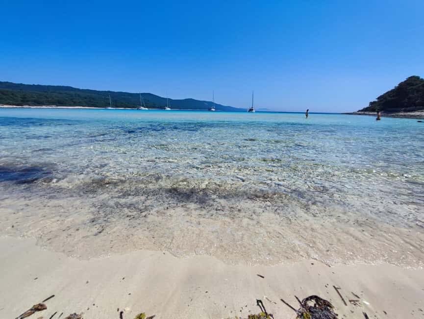 Zadar: Sakarun Bay, Golubinka Cave & Veli al Speedboat Tour - Authentic Perspectives from Past Travelers