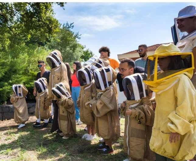 Zafferana Etnea:Honey extraction workshop and honey tasting - Honey Tasting and Organic Snacks: A Flavor Journey