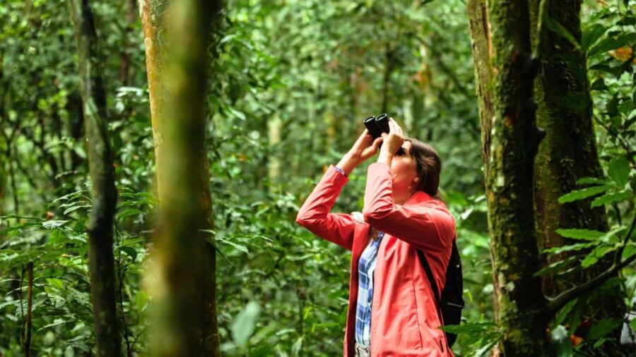 Zagreb: Science Tours, Zagreat Outdoors - Discovering Maksimir Park: A Perfect Urban Escape