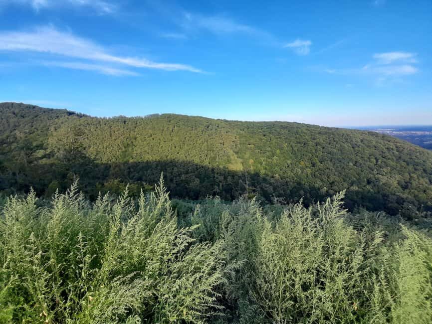 Zagreb through plants: an urban and botanical walk - The Value of This Experience