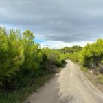 Zakynthos Premium 4x4 Sunset Escape - Final Thoughts: Who Will Love This Experience?