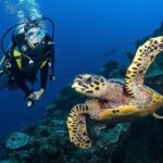 Zakynthos: Scuba Diving Experience with Underwater Photos - Final Thoughts: Who Should Book This Tour?