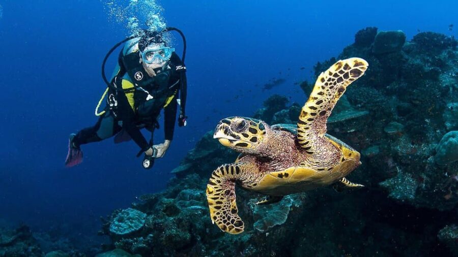 Zakynthos: Scuba Diving Experience with Underwater Photos - Final Thoughts: Who Should Book This Tour?
