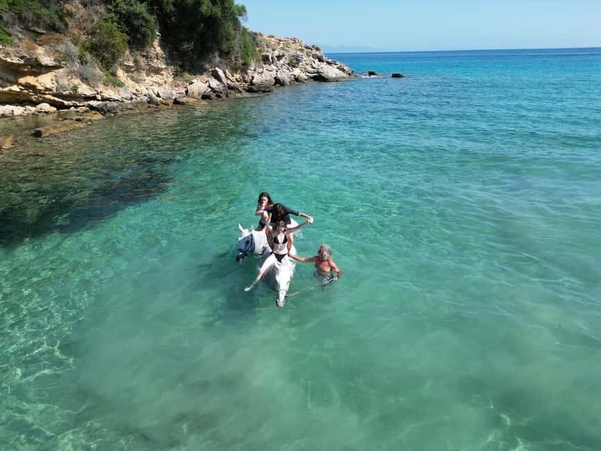 Zakynthos: Yotomu Horse Riding and Swimming Experience - The Practical Details