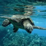 Zante Fishing Tours - Who Will Love This Tour?