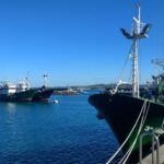 Zarautz, Getaria And Zumaia From San Sebastian - Why This Tour Is a Great Choice