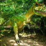 Zatorland Amusement Park: Entry Ticket - Who Is This Experience Best Suited For?