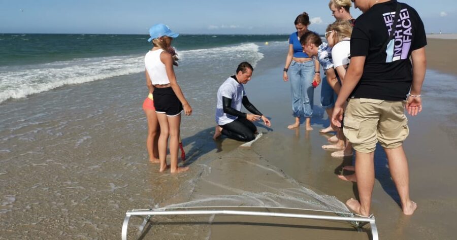 Zeeland Zeehonden strand safari NL/DE - The Itinerary: A Close Look at Each Part