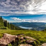 Zurich: Black Forest, Titisee, and Rhine Falls Bus Day Trip - Detailed Breakdown of the Stops