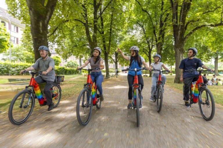 Zurich: E-Bike City Tour - The Experience: What You’ll Take Away