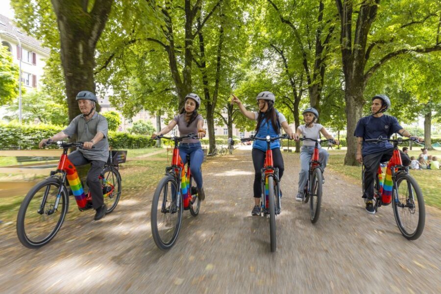 Zurich: E-Bike City Tour - The Experience: What You’ll Take Away