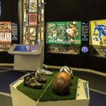 Zurich: FIFA Museum Entrance Ticket + Guided Tour - An In-Depth Look at the Zurich FIFA Museum Guided Tour