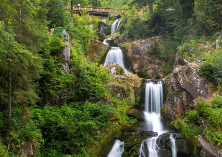 Zürich:Private Car Tour- Rhine Falls, Titisee & Black Forest - What Makes This Tour Stand Out?