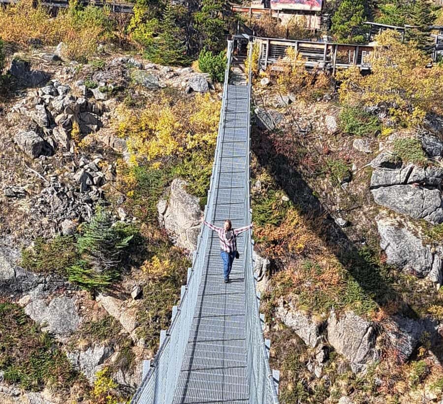 1/2 Day Yukon and Suspension Bridge Adventure - An In-Depth Look at the Tour Experience