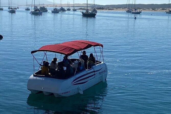 1.5 Hour Boat Rental - Why This Experience Might Be Perfect for You