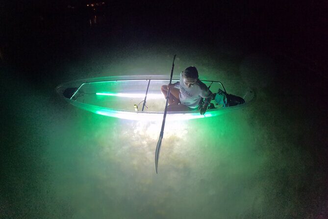 1.5-Hour LED Illuminated Clear Kayak Night Adventure Tour - What to Expect During the Tour