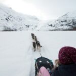 1.5 Hr - Winter Dog Sledding in Knik, Alaska - Final Thoughts: Is This Tour Worth It?