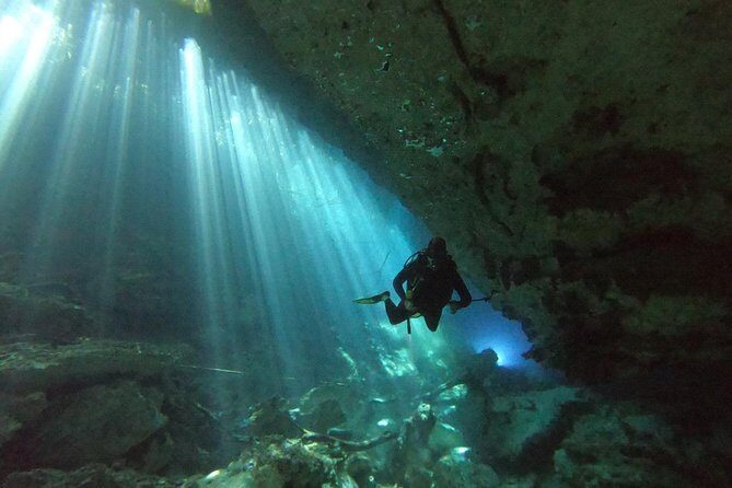 1 day of diving in Cenotes price for 2 certified divers - Why the Price Is Reasonable