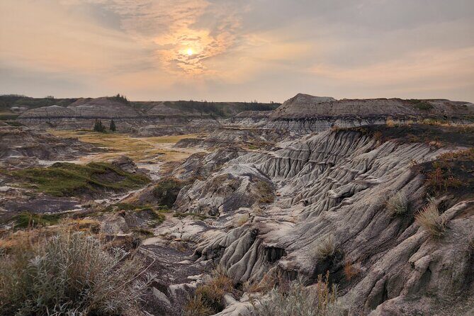 1 Day of Drumheller Dinosaurs and Badlands Guided Group Tour - The Practicalities: What to Expect