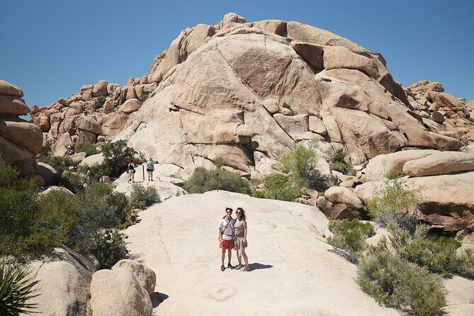 1-day Private Tour to Joshua Tree National Park from Los Angeles - Breakfast in Joshua Tree: Fuel for Adventure