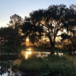 1 Hour Florida Everglades Wildlife Tour - Practical Tips for Your Tour