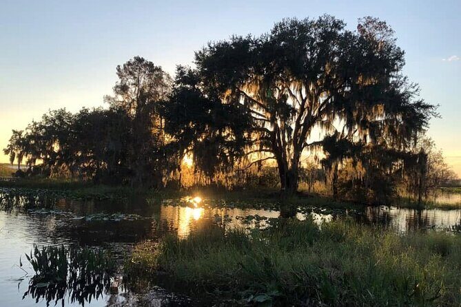 1 Hour Florida Everglades Wildlife Tour - Practical Tips for Your Tour