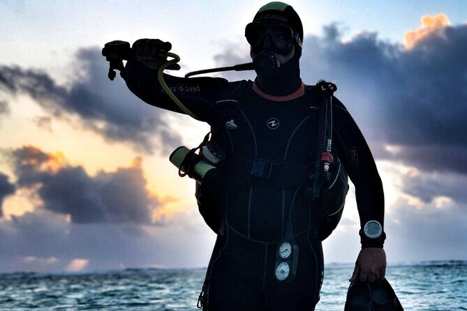 1 Tank Dive for certified divers - The Benefits of a Guided, Small-Group Experience