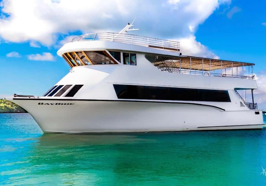 100ft 200 passenger 3 story mega yacht w open bar at Bayside - Cost and Value