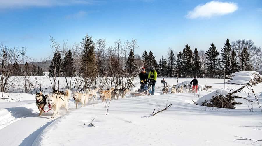 15 min. Tadoussac : Dog Sled Excursion in Saguenay Fjord - What to Expect at the Meeting Point and During the Tour