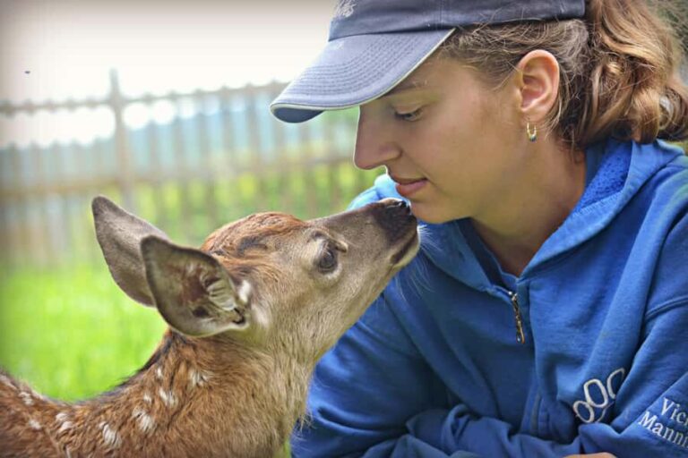 15 min. Tadoussac: Free visit to the animal shelter and farm - The Sum Up: Who Should Consider This Visit?