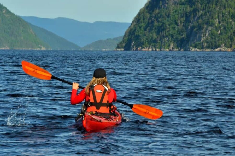 15 min Tadoussac: Guided Sea Kayaking Adventure - The Itinerary and Experience