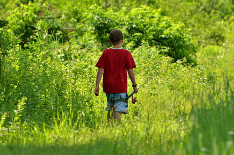 15 min. Tadoussac : Trout Fishing Experience - A Potential Drawback to Consider