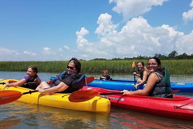 2 1/4 Hour Private Kayak Hilton Head Dolphin Nature Experience - Who Will Love This Tour?