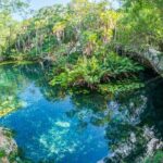 2 Cenotes Private Tour  VIP Adventure with Expert Guide - Why the Price Reflects Good Value