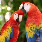 2 Day Combo Tour, Xcaret, Xel-Ha, Xplor and Chichen Itza Option - Real Traveler Insights and Tips