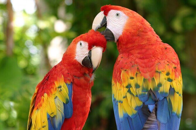 2 Day Combo Tour, Xcaret, Xel-Ha, Xplor and Chichen Itza Option - Real Traveler Insights and Tips