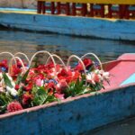 2-Day Guadalupe Shrine, Teotihuacan Pyramids and Xochimilco - Who Will Love This Tour?
