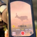 2 Day Yellowstone Safari Upper and Lower Loop Bozeman - An In-Depth Look at the Yellowstone Safari Itinerary