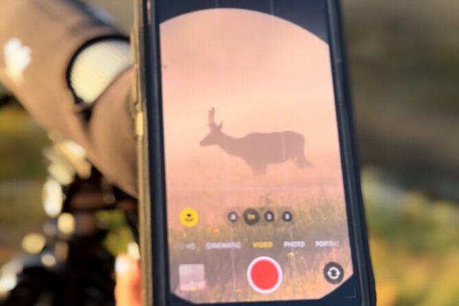 2 Day Yellowstone Safari Upper and Lower Loop Bozeman - An In-Depth Look at the Yellowstone Safari Itinerary