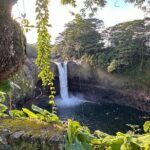 2 Days Private Cruise Shore Excursions to Hilo and Kona - The Practicalities: What You Need to Know