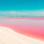 2 Days Private Tour in Aguas Rosas and Cenotes - What Makes This Tour Stand Out?