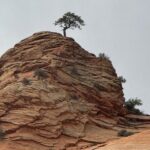 2 DAYS: Zion, Bryce, Grand Canyon, Antelope, & Horseshoe from LV - A Deep Dive into the Experience