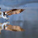 2-Hour, 4-seat ATV Rental next to Bryce National Park - Who Will Love This Experience?