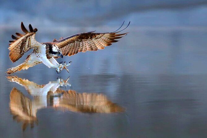 2-Hour, 4-seat ATV Rental next to Bryce National Park - Who Will Love This Experience?