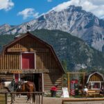2 Hour Banff Horseback Riding Adventure - The Scenic Highlights