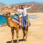 2-Hour Camel Ride Beach and Desert Adventure Experience - Key Points
