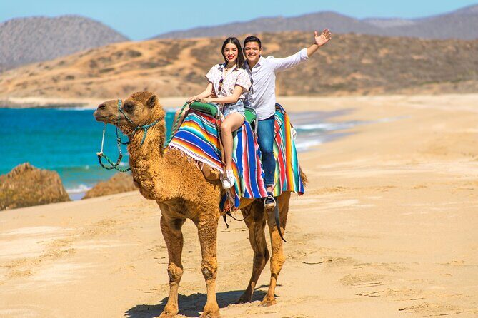 2-Hour Camel Ride Beach and Desert Adventure Experience - Key Points